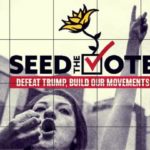 Seeding the Vote: China’s Influence in the 2020 US General Election